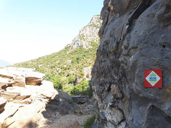 A path on the side of the mountain